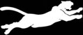 cougar-footer